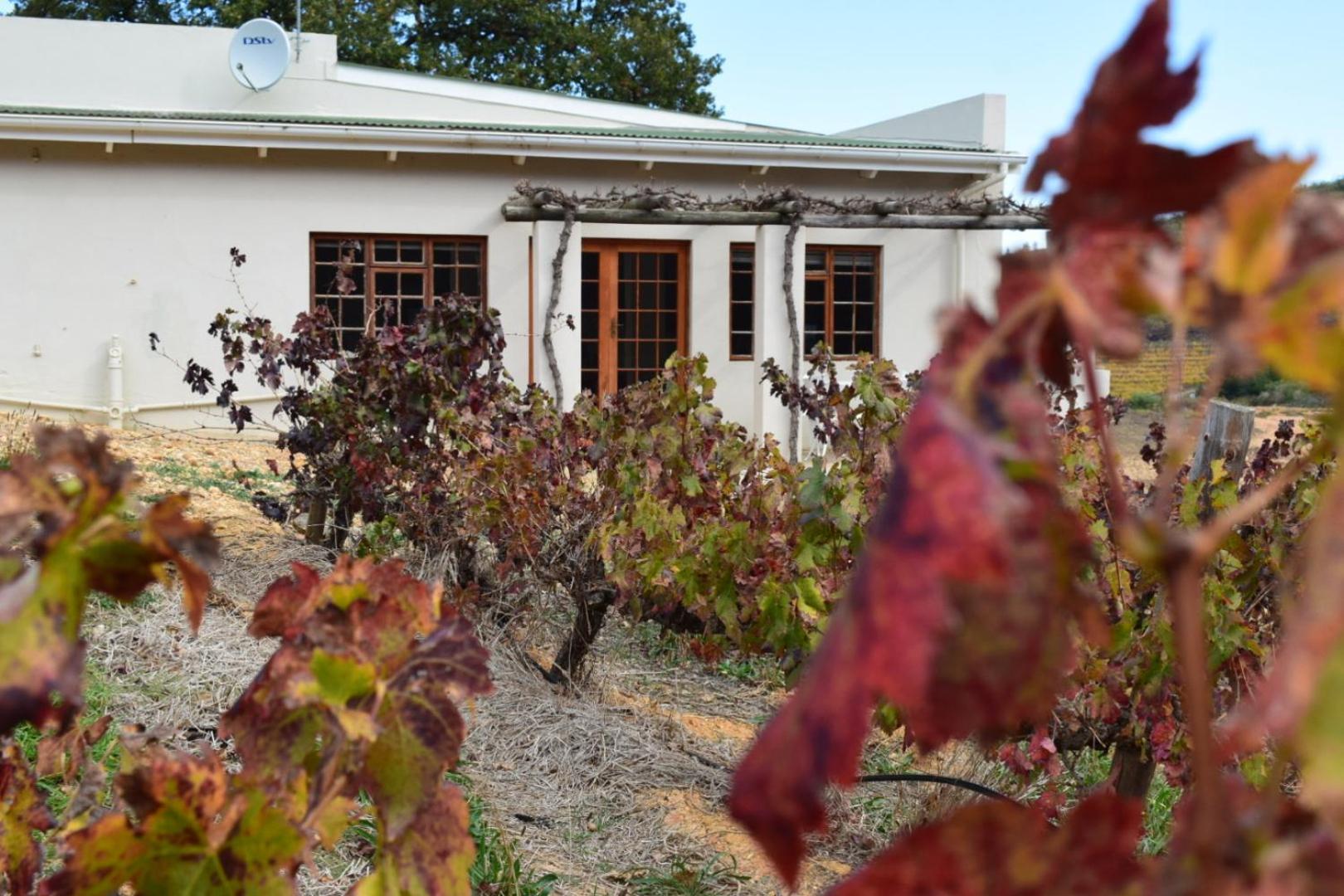 Vredehoek Guest Farm Breërivier Exterior photo